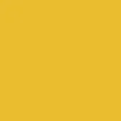 Mustard powder coating, matte yellow surface, uniform color sample with diffuse lighting and no texture, representing a flat, consistent finish.